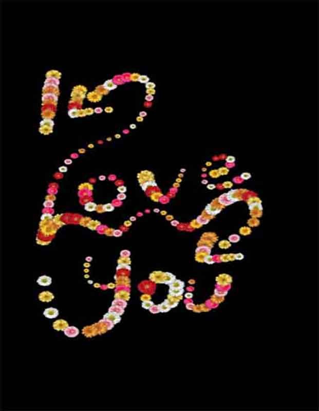 I love you, Written with small multicolor daisy flowers in romantic style